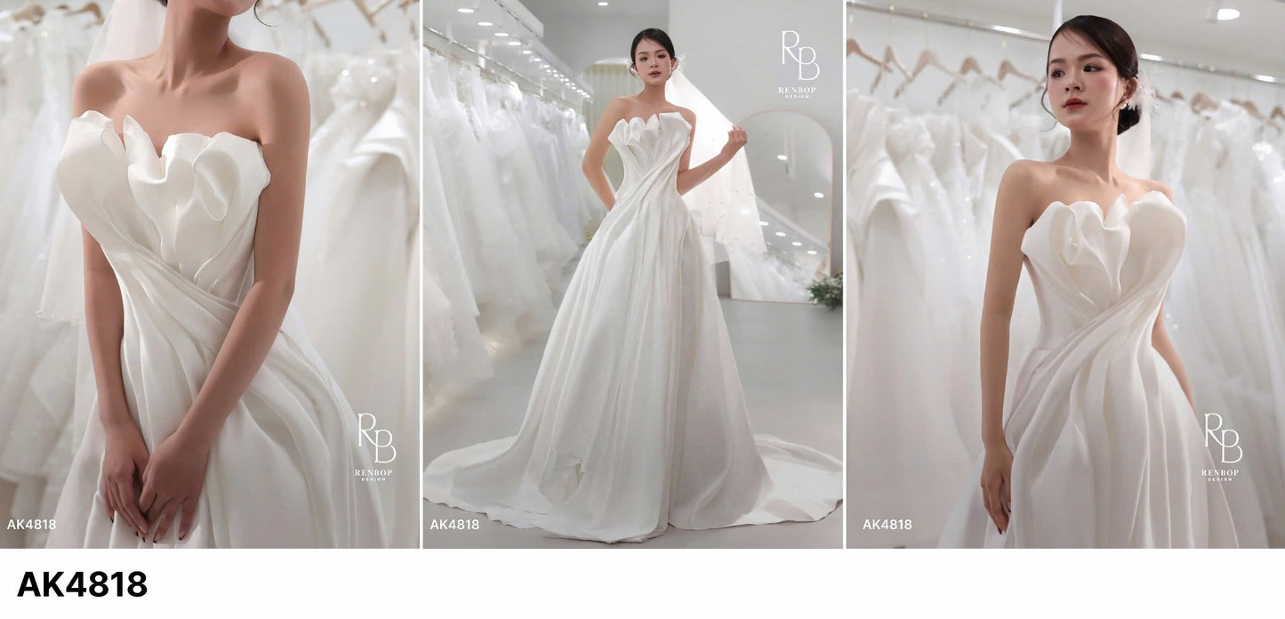 Design by RenBop AK4818