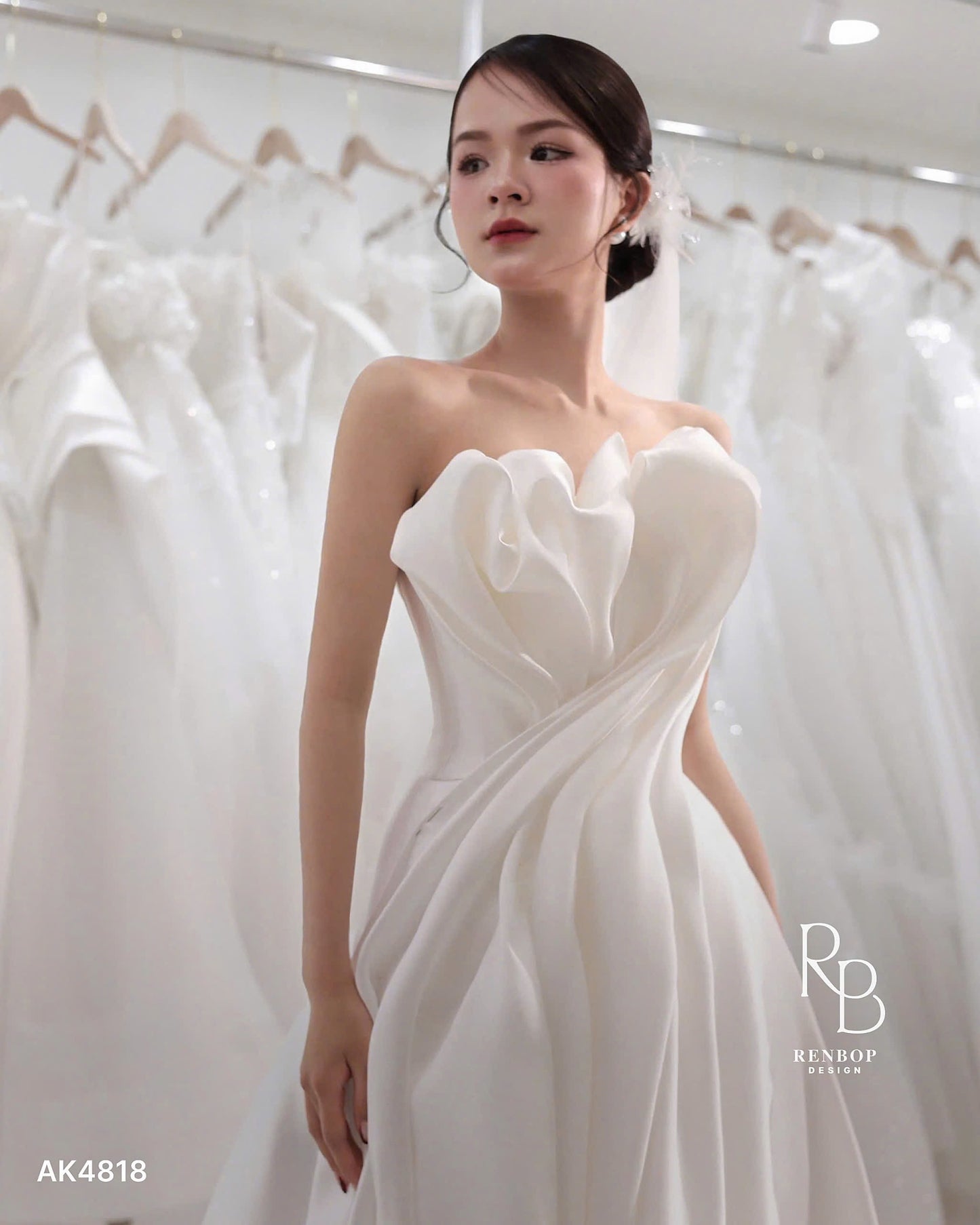 Design by RenBop AK4818
