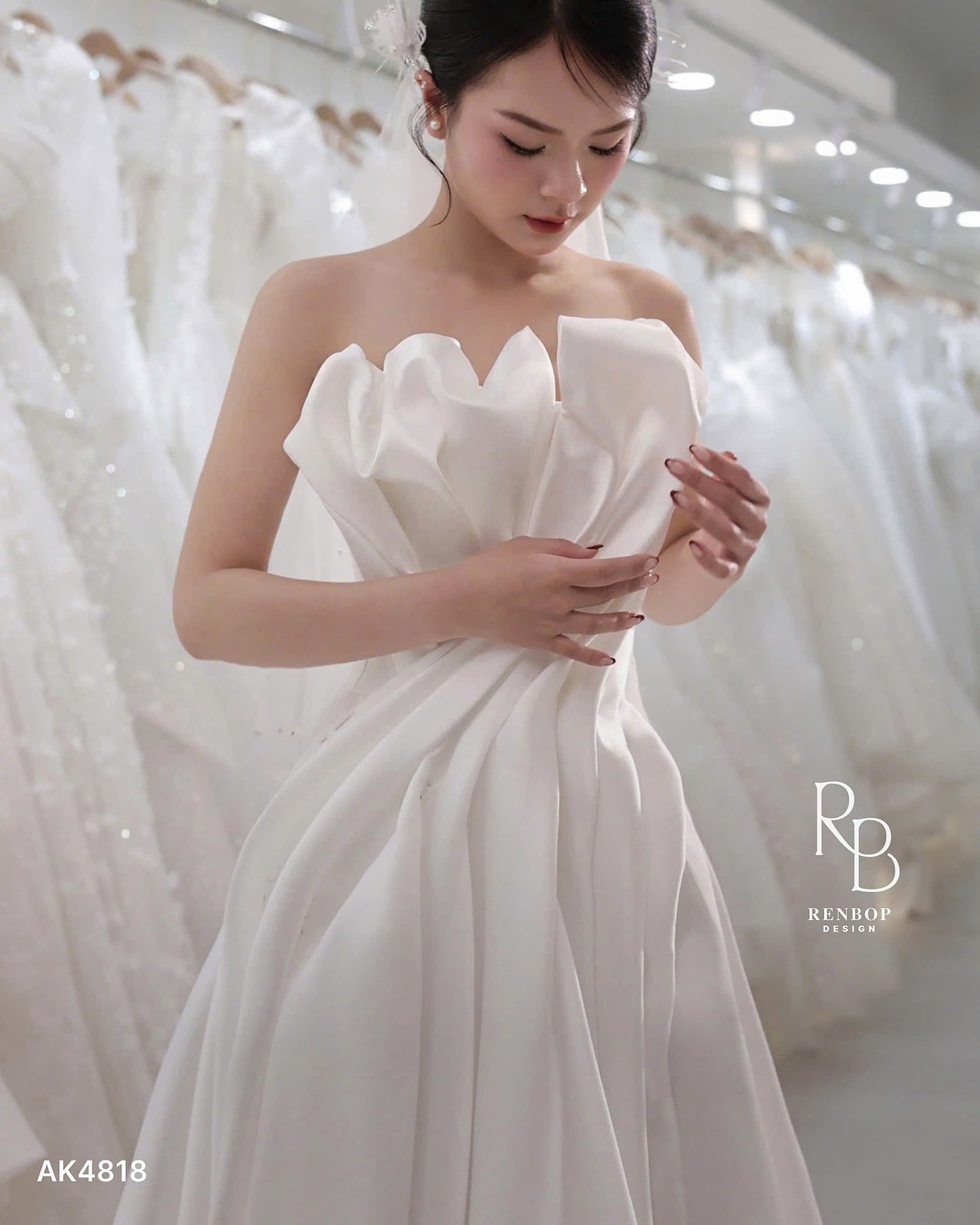 Design by RenBop AK4818