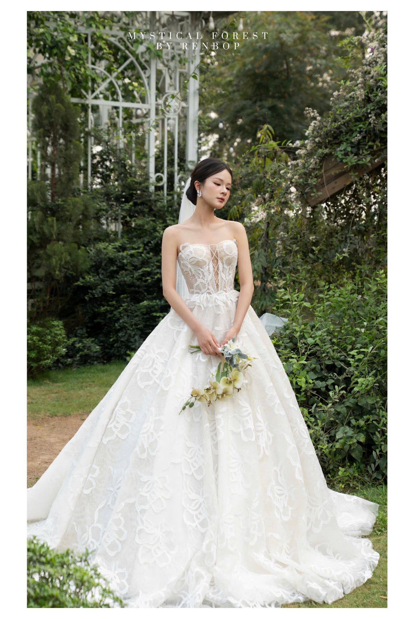 Mystical Forest DH9234