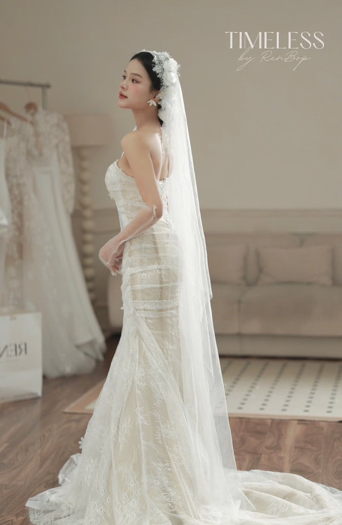 Design by RenBop CN6214